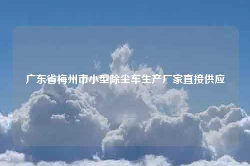 广东省梅州市小型除尘车生产厂家直接供应